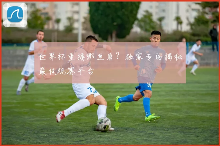 世界杯重播哪里看?独家专访揭秘最佳观赛平台