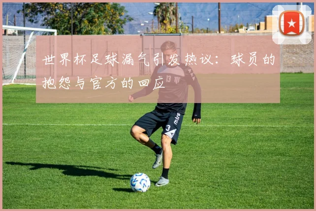 世界杯足球漏气引发热议：球员的抱怨与官方的回应