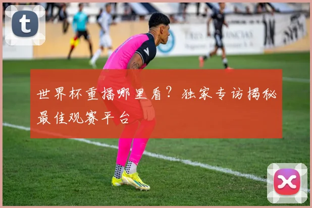 世界杯重播哪里看?独家专访揭秘最佳观赛平台