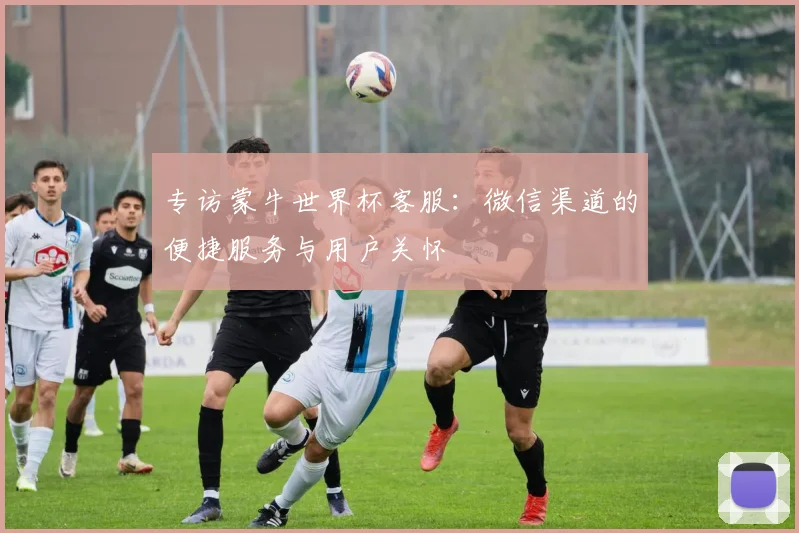 专访蒙牛世界杯客服:微信渠道的便捷服务与用户关怀