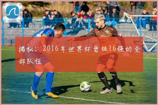 揭秘：2016年世界杯晋级16强的全部队伍