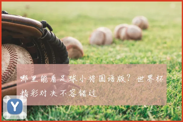 哪里能看足球小将国语版？世界杯精彩对决不容错过