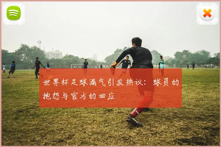 世界杯足球漏气引发热议：球员的抱怨与官方的回应
