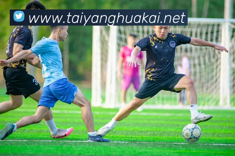 多媒体互动体验